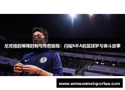 尼克杨的璀璨时刻与传奇旅程：闪耀NBA的篮球梦与奋斗故事